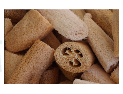 Pashte (loofah) 100g